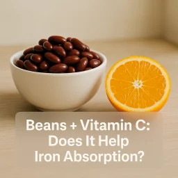 Beans Vitamin C Does It Help Iron Absorption